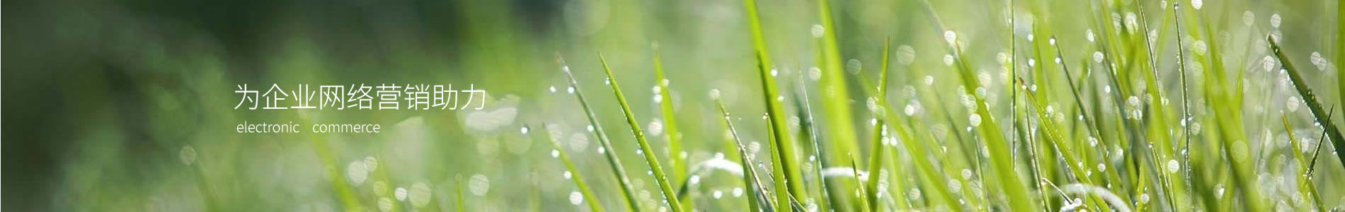 ŷǵܻе޹˾